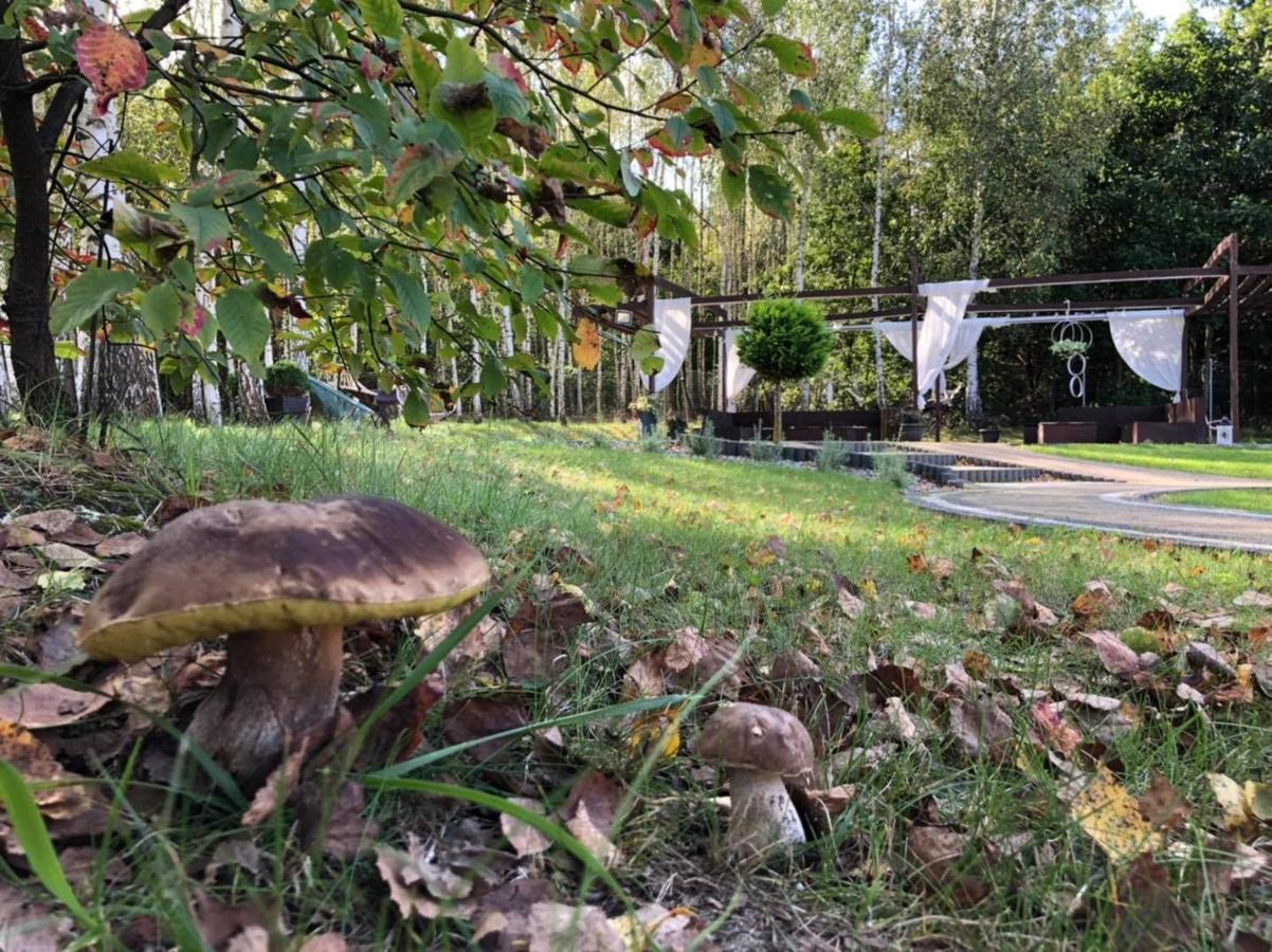 Gosciniec Pod Lasem Grabowce Dolne Kültér fotó